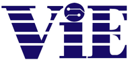 ViE - Company Logo Wide